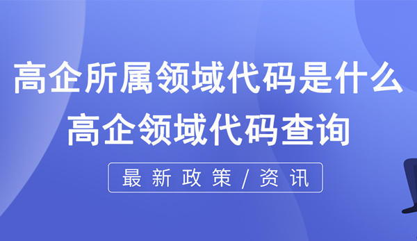 高企所屬領(lǐng)域代碼是什么？