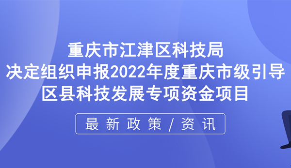 環(huán)紐文章封面圖.jpg